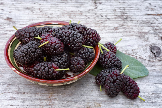 Black mulberry  (Morus nigra), pile of berries in the bowl