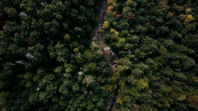 aerial footage of the autumn forest looking down at Vermont USA close to Canada