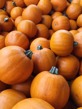 Pumpkins