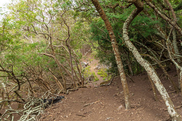 Fototapeta premium Ascension Island