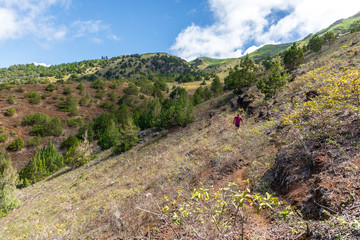 Ascension Island