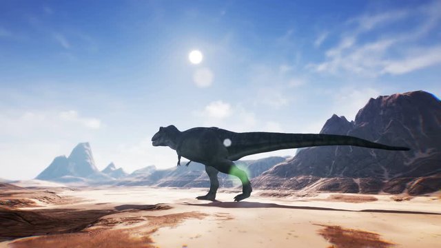 T Rex Tyrannosaur Dinosaur animation in desert. realistic render. 4k.