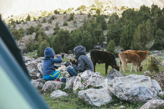 Family Having Dinner Outside Beside Grazing Cows