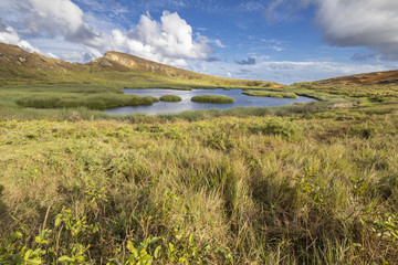 Rano Raraku Crater Volcano, just a view over the crater lake, an amazing landscape with its...