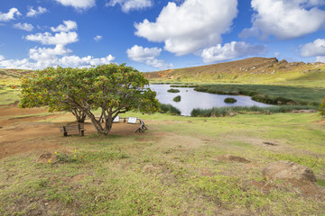 Fototapeta na wymiar Rano Raraku Crater Volcano, just a view over the crater lake, an amazing landscape with its vegetation, trees, water and wonderful sky
