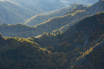 Autumn mountain forest at sunset