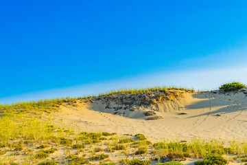 Sand Dunes and Grass of the Provincelands Cape Cod MA US.