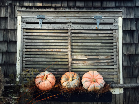 Three Decorative Pumpkins Sit In A Window Box In Front Of A Shut