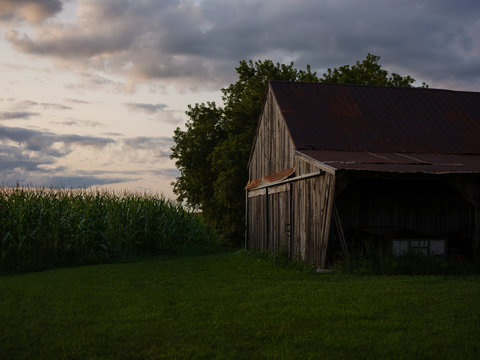 A farm outbuilding in beautiful light.