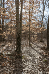 Obraz premium Path to Anawan Rock