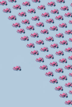 Crab on blue background.