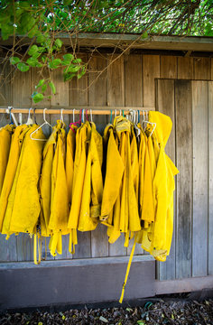 Collection of yellow raincoats hanging outside