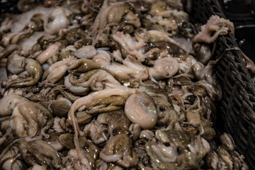 Dry goods and frozen food