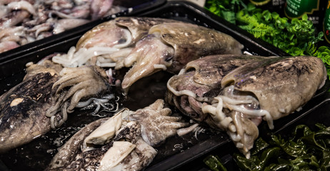 Naklejka premium Dry goods and frozen food