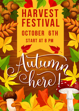 Fall festival and autumn harvest fest invitation