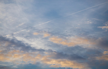 The background of the sky is bright, Natural beauty.