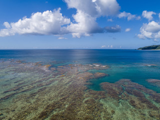 Fototapeta na wymiar Coral reef23
