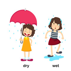 Opposite dry and wet vector illustration