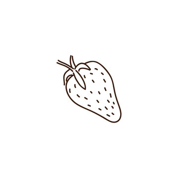 Strawberry outline illustration. Vector doodle sketch hand drawn fruit illustration