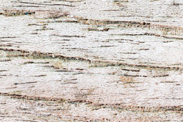 Obraz na płótnie Canvas Old Wood Texture Background for Design