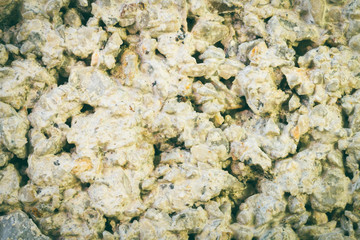 Cement Texture of Cement Wall Background Close Up View Vintage