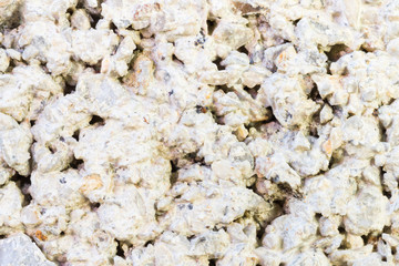 Cement Texture of Cement Wall Background Close Up View