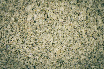 Cement Texture of Cement Wall Background for Design Vintage
