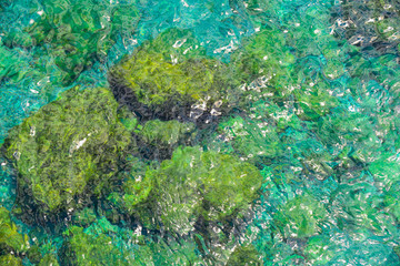 Sketch on Cap Martin. Cote d'Azur. France