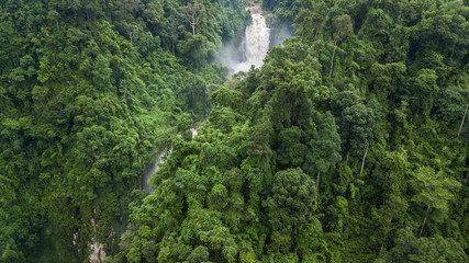 Aerial view river flowing in the forest, river in tropical rainforest.
