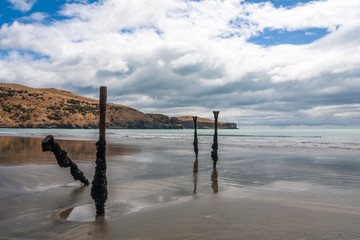 Posts on the beach at Okains Bay, South Island, New Zealand