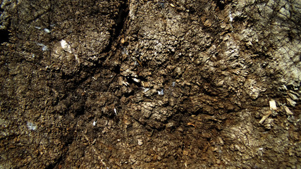 Abstract brown wooden background