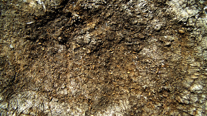 Abstract brown wooden background
