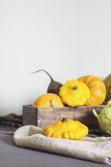 Assorted pumpkins and squashes on rustic wooden boards with an shinning autumn backdrop