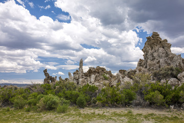 Mono Lake Landscape 