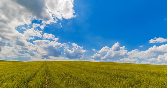 landscape of green grass fields under blue sky with white clouds, time-lapse movement, nature and relax, climate change concept