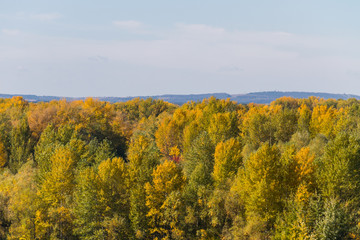 Aerial view of colorful autumn trees