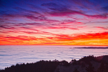Mountain Tamalpais Fog