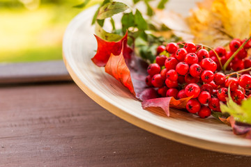 composition of autumn berries, leaves and fruits on wooden background. Red Rowan berries and colorful autumn leaves.Concept of autumn harvest, copyspace, flat lay.