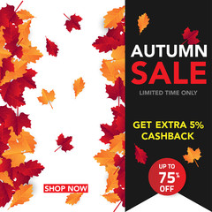 Autumn sale banner template with leaves, fall leaves for shopping sale. banner design. Poster, card, label, web banner. Vector illustration