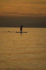 Men on sup in sunset