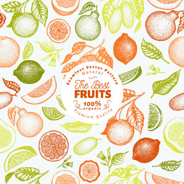 Citrus fruits seamless pattern. Hand drawn vector fruit illustration. Engraved style. Vintage citrus background.