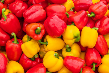 Sweet pepper, yellow and red in Thailand.