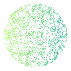 Collection of cartoon juicy fruits and berry. Vector illustration. Set of colorful fruit and berries. Fruit hand drawn in doodle style.