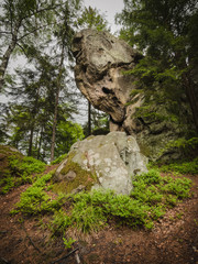 Wide angle shot of big rocks located in conifer forest at Carpathian mountains, Ukraine. Fine-art intimate landscape. Natural background. 