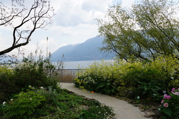 Insel Brissago auf lago Maggiore in Süd Schweiz im Sommer