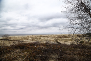 Beautiful view on sand dunes of the Curonian spit. Nida in Lithuania and Kaliningrad region in...