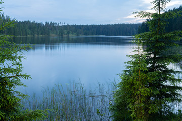 Dawn on the Uzhin Lake