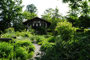 森のコテージ　別荘　山小屋　避暑地　日本