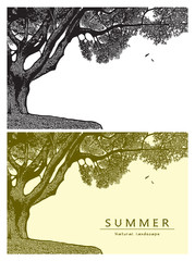 Summer landscape with oak tree and birds flying in the sky. Vector graphic illustration of summer nature in black and white and beige color, vintage style.
