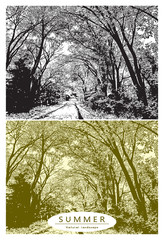 Summer landscape with trees and forest country road. Vector graphic illustration of a natural arch alley from trunks, branches and leaves in black and white and vintage monochrome colors.